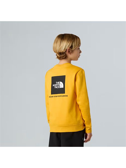 Felpa NSE Box da ragazzi THE NORTH FACE | NF0A89H7/56P1